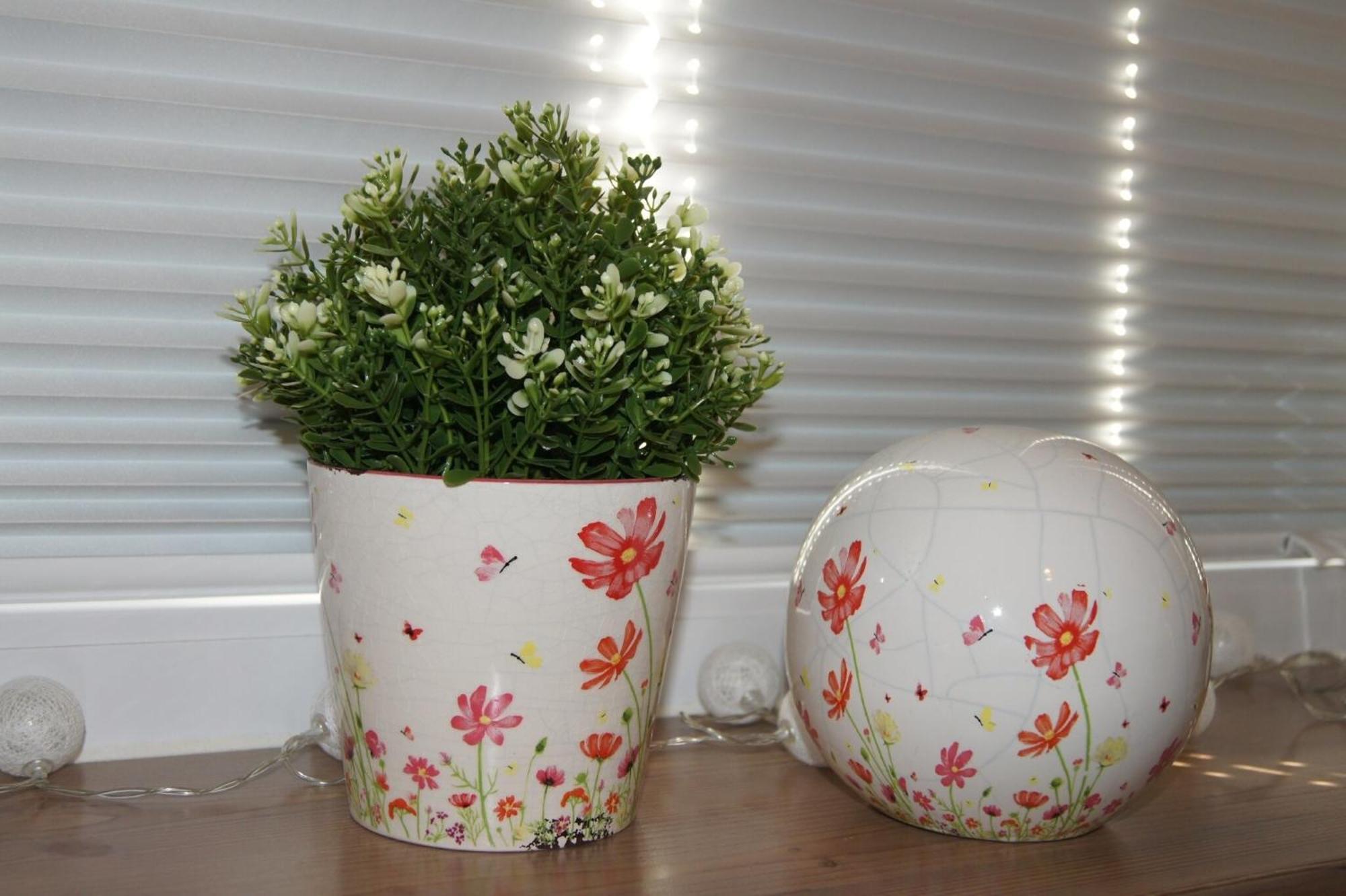 Apartamento Almwiese